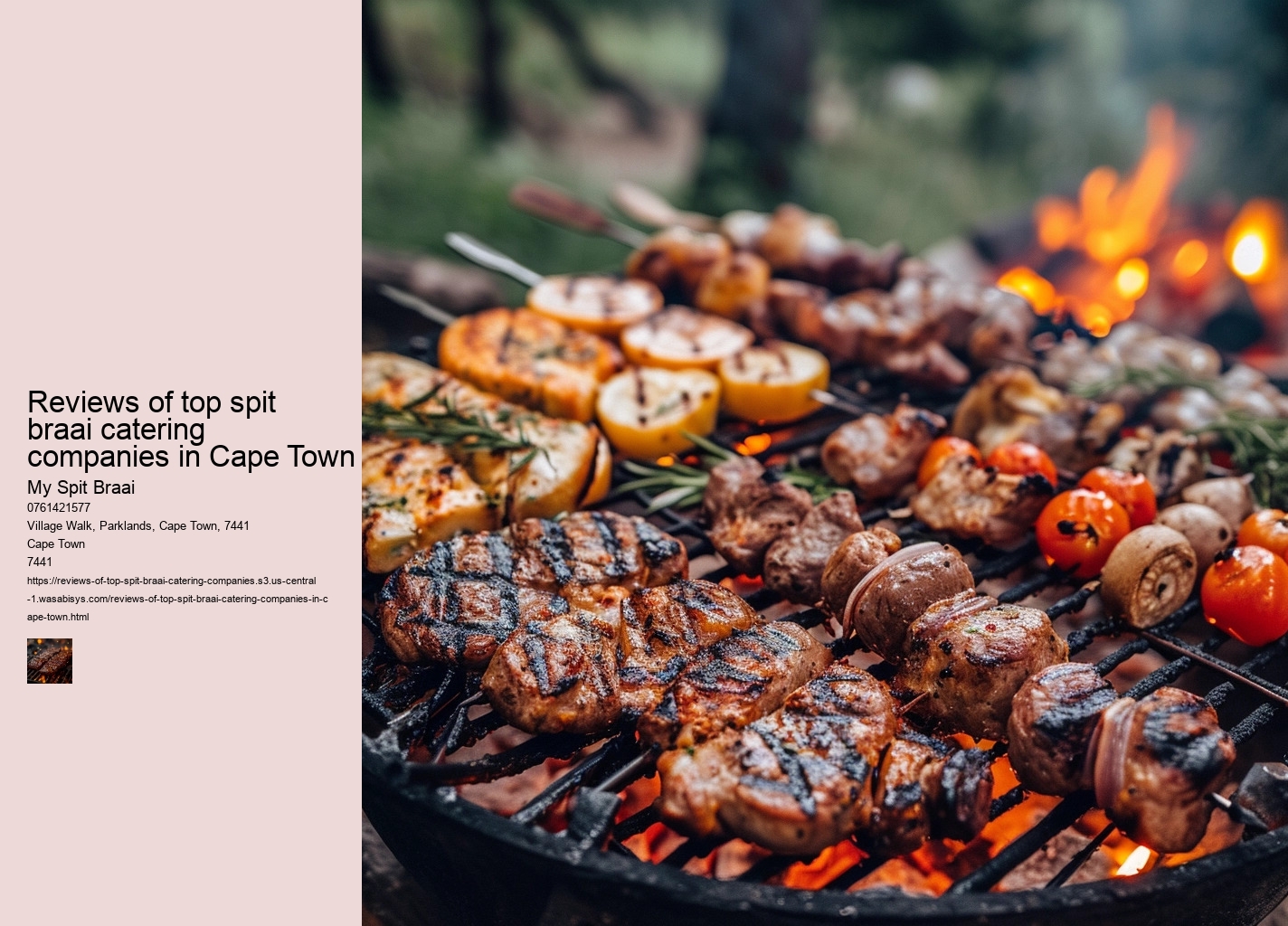 Reviews of top spit braai catering companies in Cape Town
