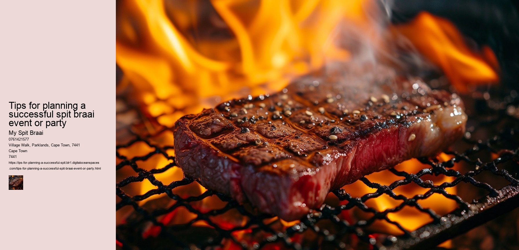 Tips for planning a successful spit braai event or party