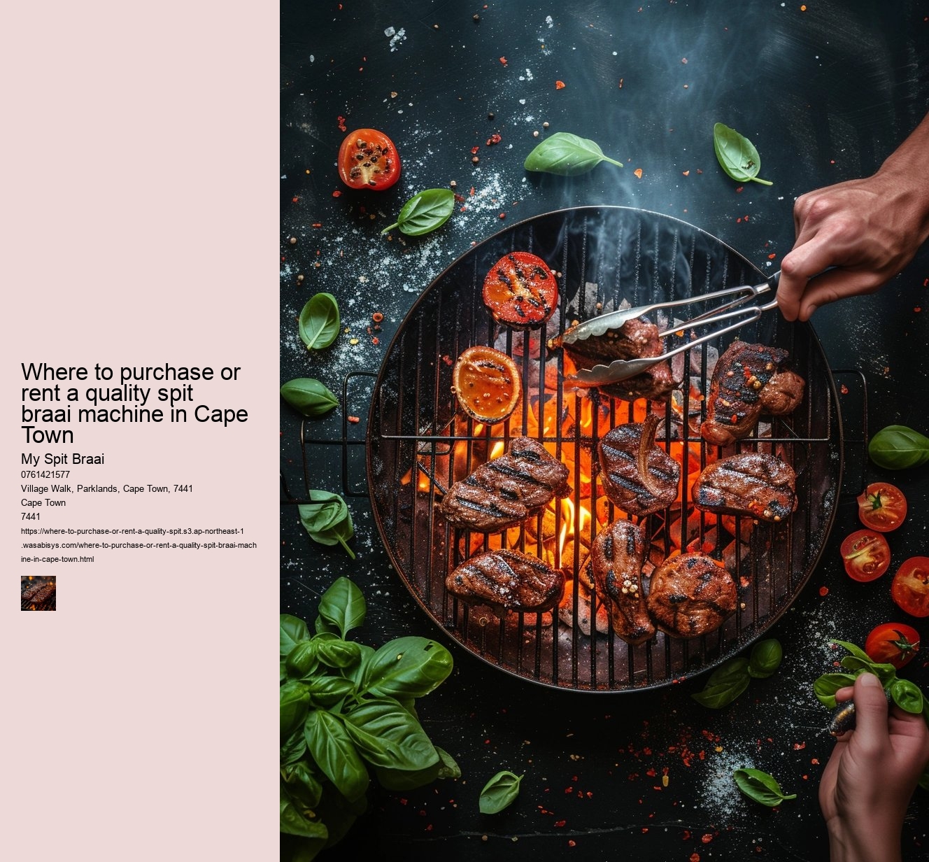 Where to purchase or rent a quality spit braai machine in Cape Town